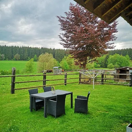 Martina Appartement St. Vith